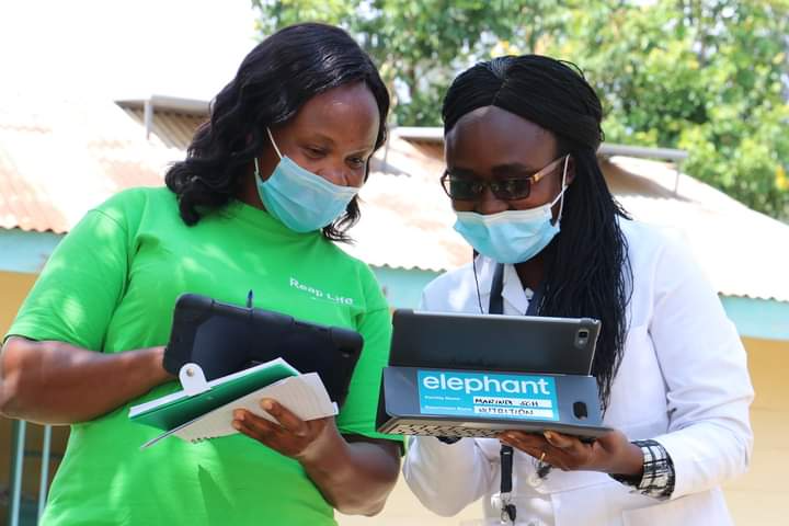 Two people looking at their laptops