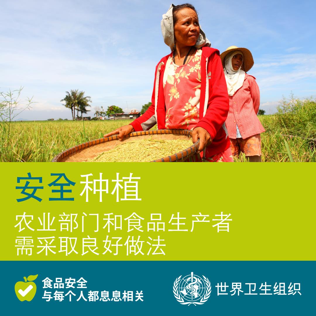 WHO-Grow-it-Safe-1080x1080px-CHI-final