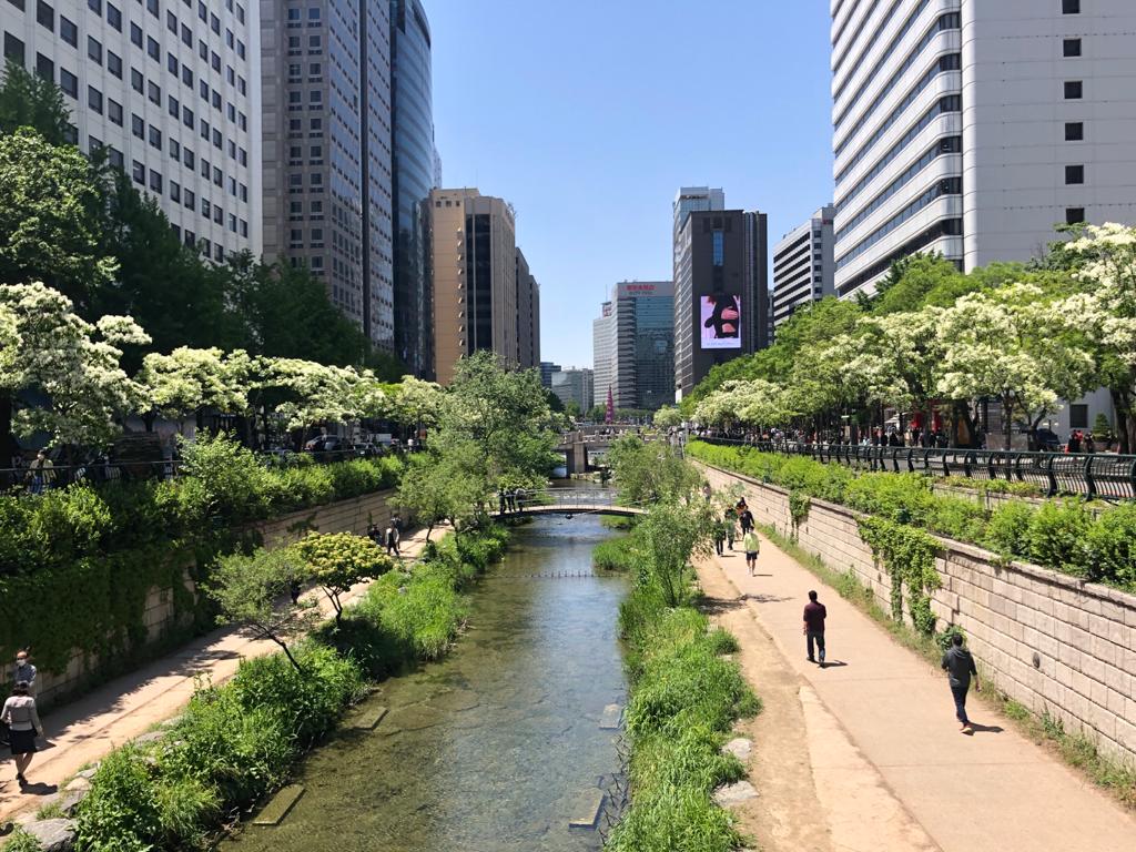 ACE webpage main photo